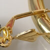 CONJUNTO COLAR E BRINCO FIORENZA - Image 5